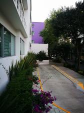 Departamento en Renta en Miguel Hidalgo, Distrito Federal  - Foto 4